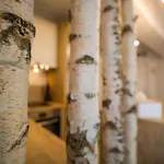 Zen Alpin Studio