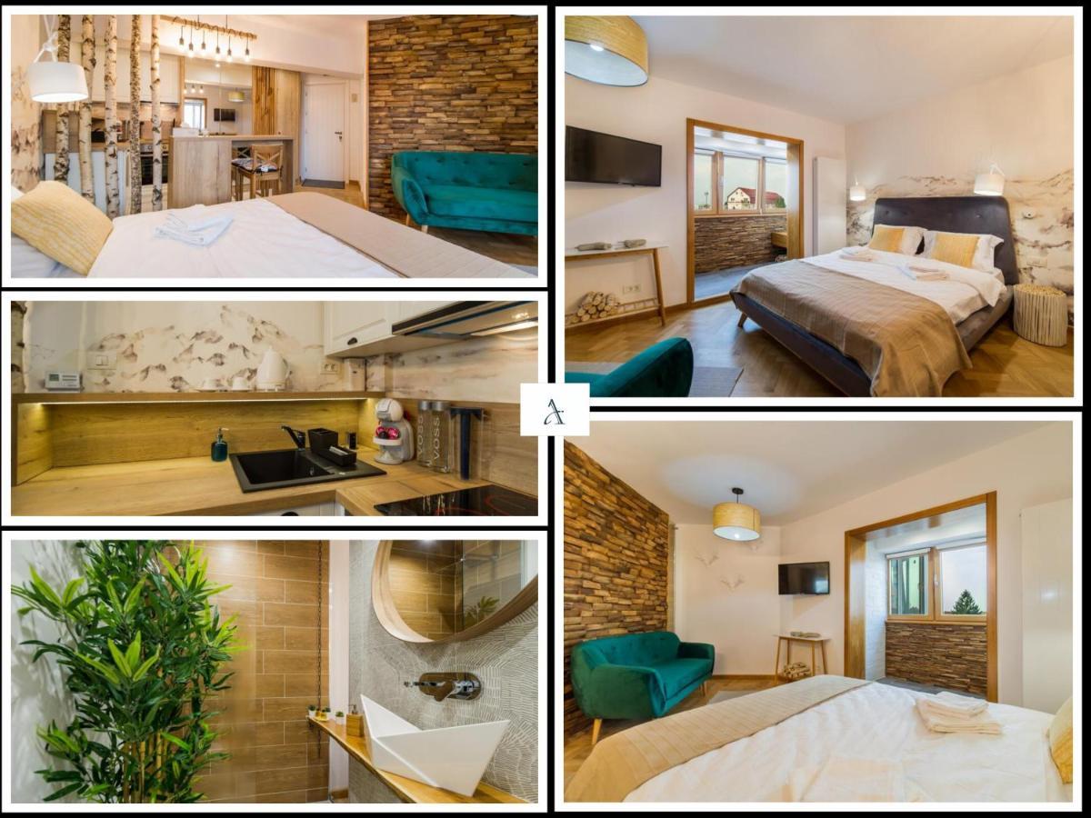 Appartamento Zen Alpin Studio Braşov