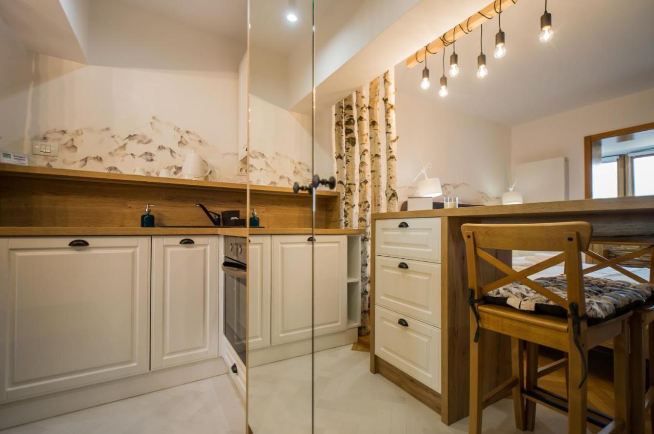 Zen Alpin Studio Appartamento Braşov