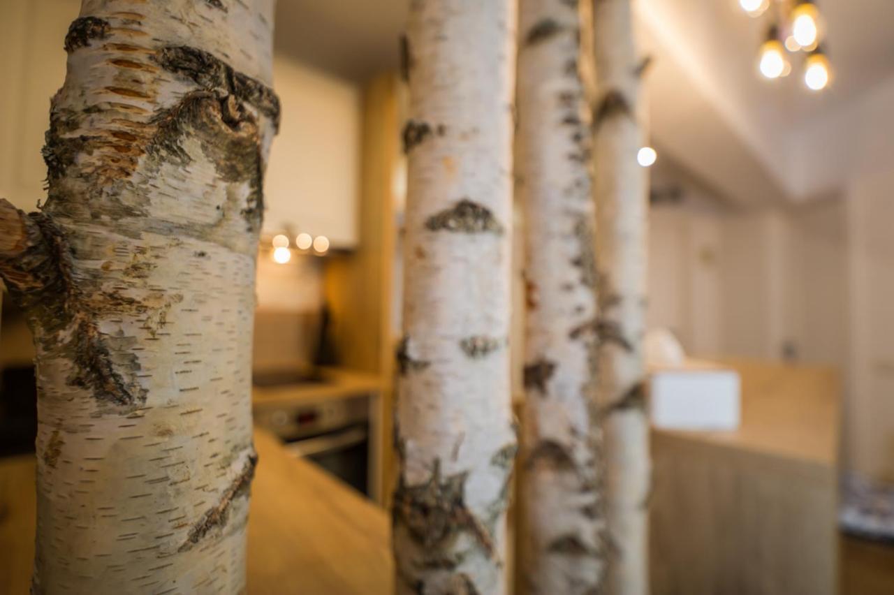 Appartamento Zen Alpin Studio Braşov