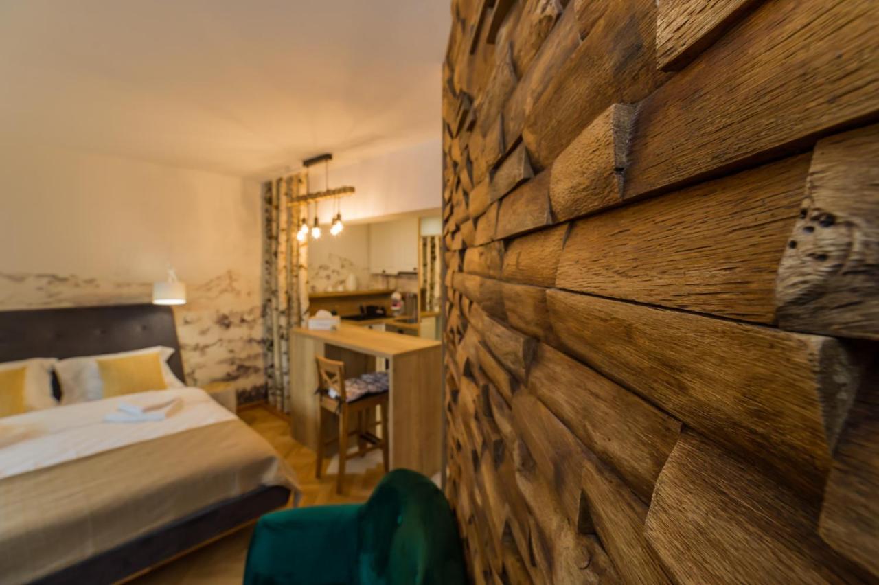 Zen Alpin Studio Appartamento Braşov
