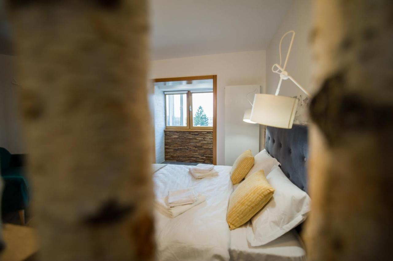 Zen Alpin Studio Brasov